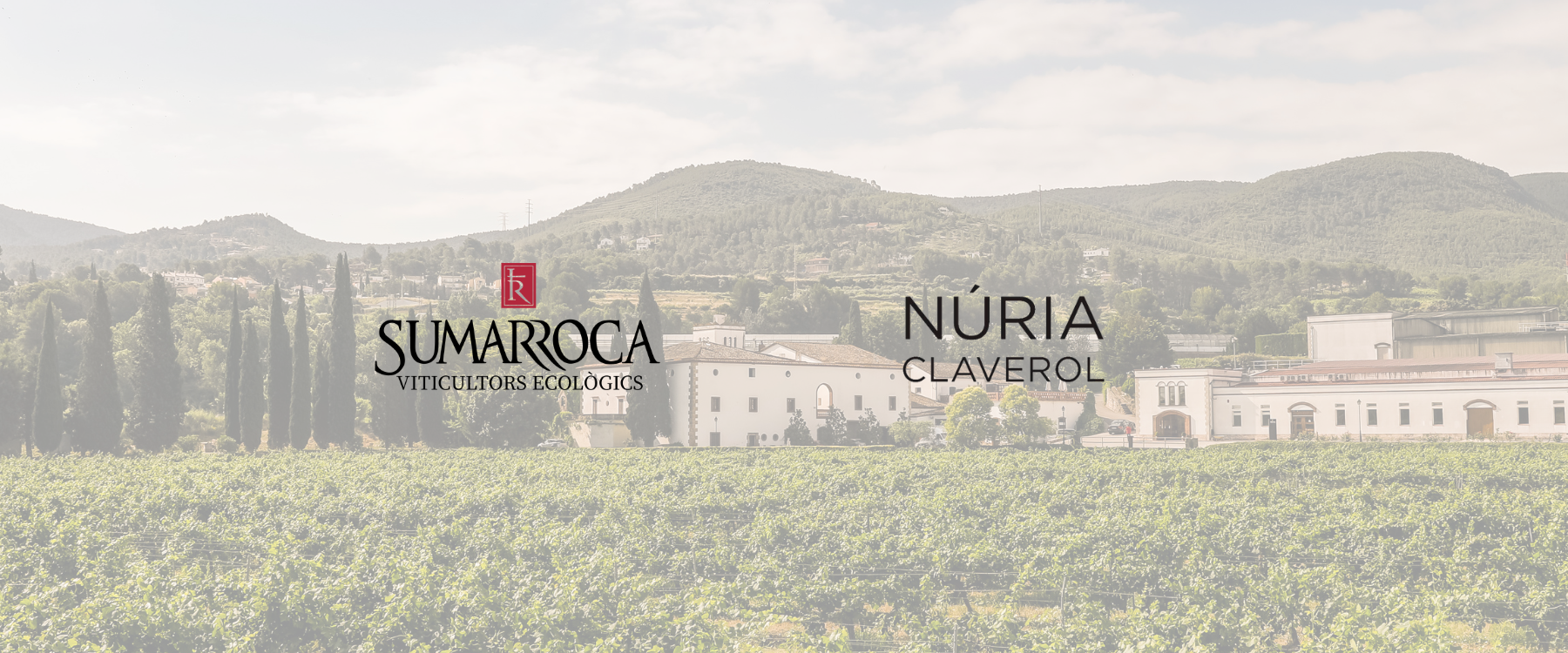 SUMARROCA-NC-1