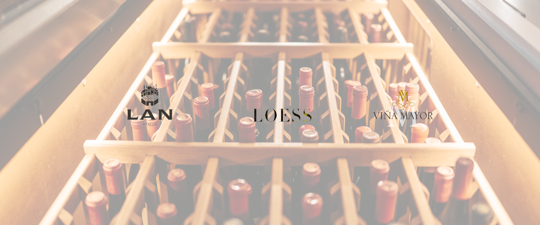VINOS-Y-CAVAS-1